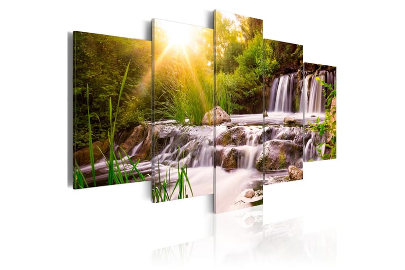 Bilde Forest Waterfall 100x50 - Artgeist sp. z o. o. - Innredning - Bilder & kunst - Lerretsbilder