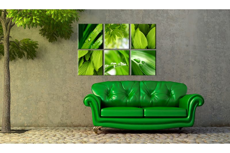 Bilde Fresh Green Leaves 60x40 - Artgeist sp. z o. o. - Innredning - Bilder & kunst - Lerretsbilder