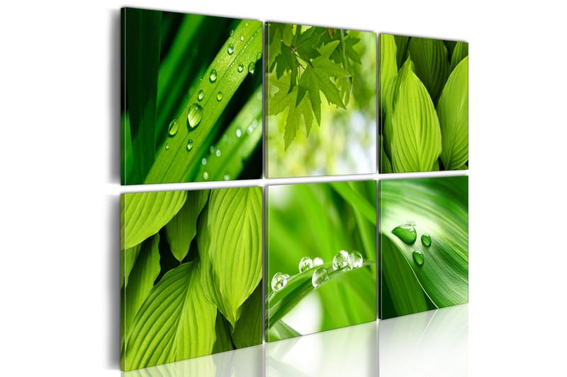 Bilde Fresh Green Leaves 60x40 - Artgeist sp. z o. o. - Innredning - Bilder & kunst - Lerretsbilder