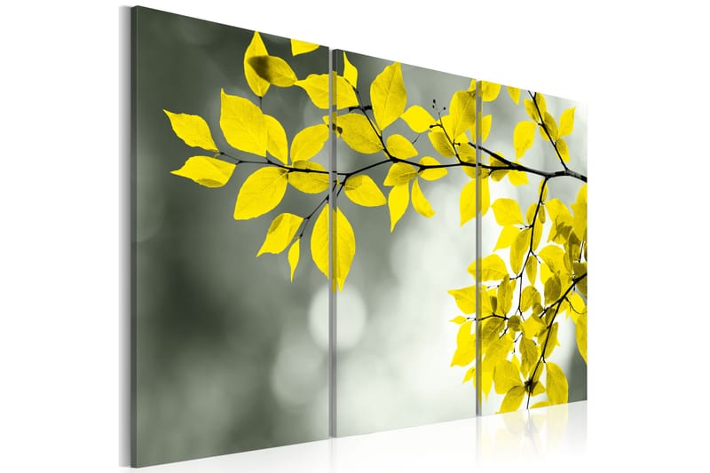 Bilde Gold Sprig 120x80 - Artgeist sp. z o. o. - Innredning - Bilder & kunst - Lerretsbilder