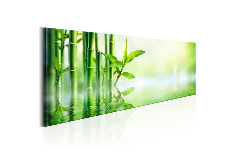 Bilde Green Bamboo 120x40 - Artgeist sp. z o. o. - Innredning - Bilder & kunst - Lerretsbilder