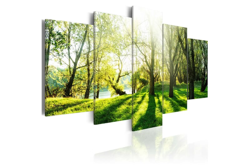 Bilde Green Glade 100x50 - Artgeist sp. z o. o. - Innredning - Bilder & kunst - Lerretsbilder