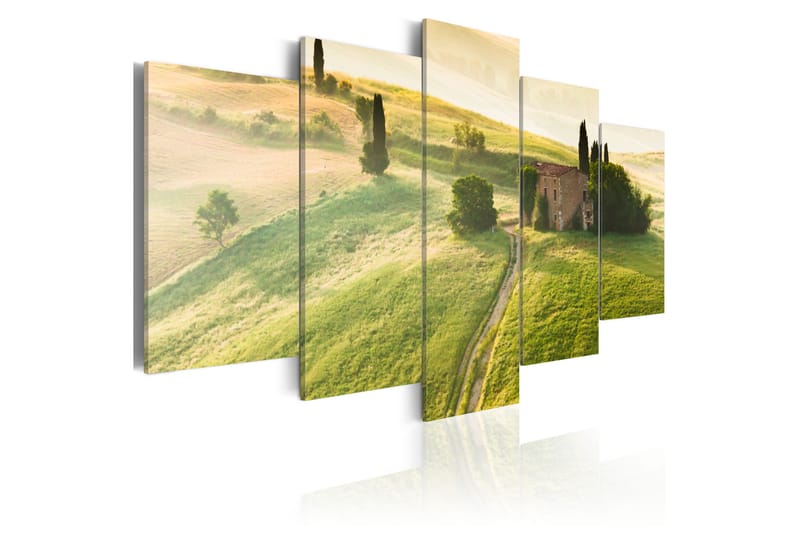 Bilde Green Tuscany 100x50 - Artgeist sp. z o. o. - Innredning - Bilder & kunst - Lerretsbilder