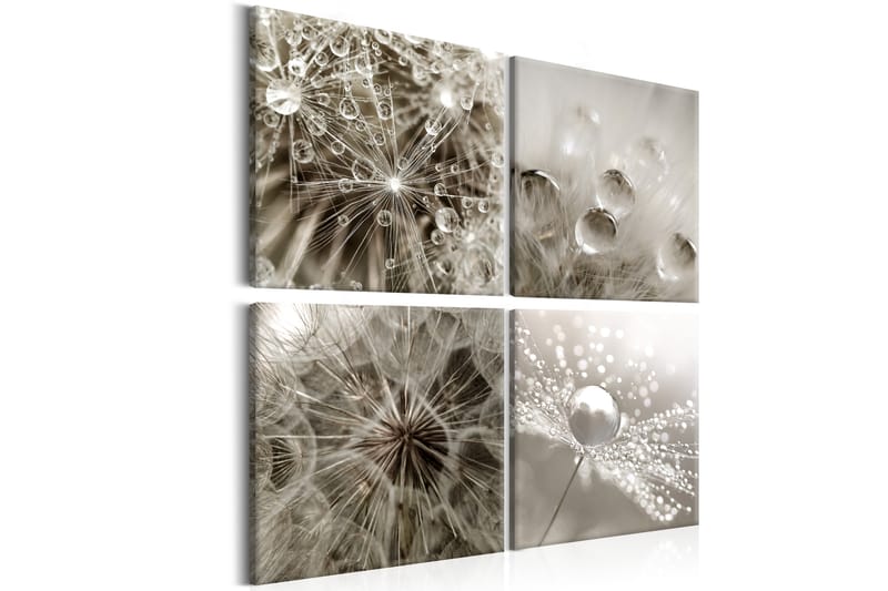 Bilde Grey Dandelion 60x60 - Artgeist sp. z o. o. - Innredning - Bilder & kunst - Lerretsbilder