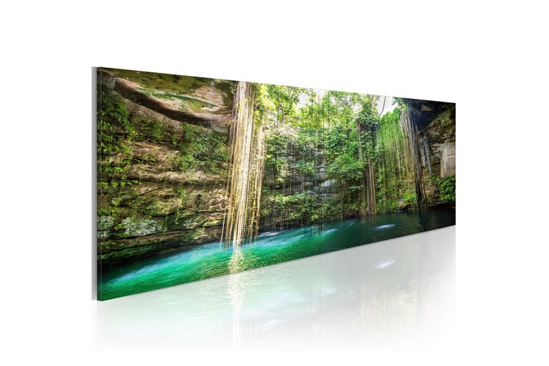 Bilde Hidden Treasure Of The Nature 135x45 - Artgeist sp. z o. o. - Innredning - Bilder & kunst - Lerretsbilder