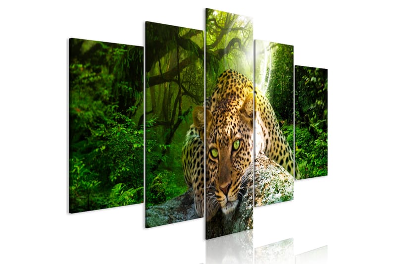 Bilde Leopard Lying 5 Parts Wide Green 200x100 - Artgeist sp. z o. o. - Innredning - Bilder & kunst - Lerretsbilder