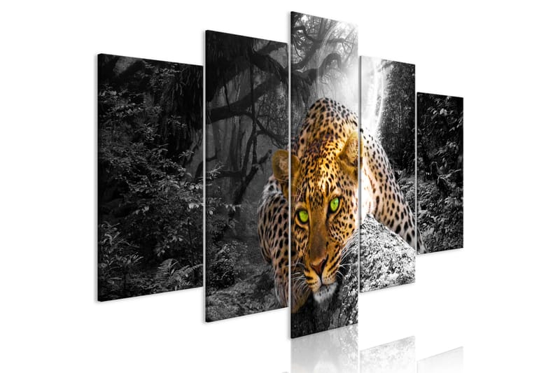 Bilde Leopard Lying 5 Parts Wide Grey 200x100 - Artgeist sp. z o. o. - Innredning - Bilder & kunst - Lerretsbilder