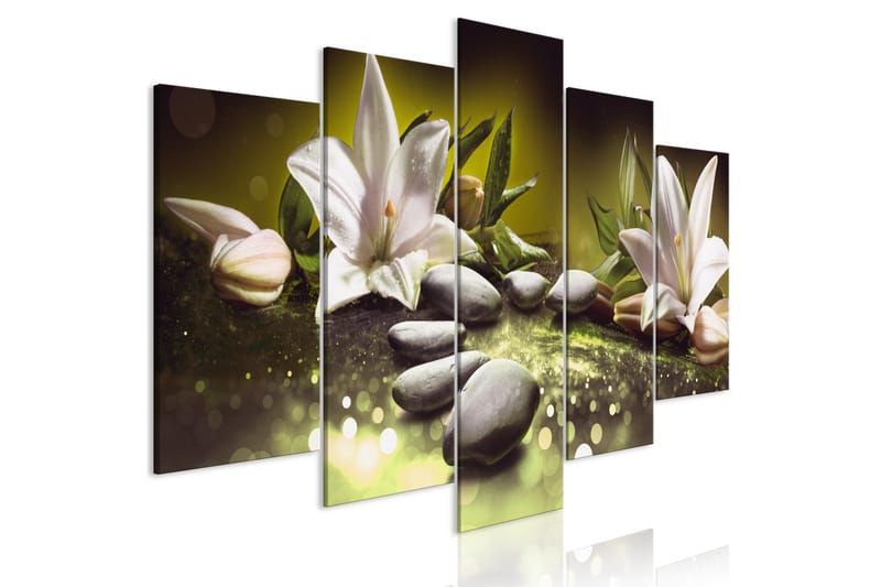 Bilde Lilies And Stones 5 Parts Wide Green 100x50 - Artgeist sp. z o. o. - Innredning - Bilder & kunst - Lerretsbilder