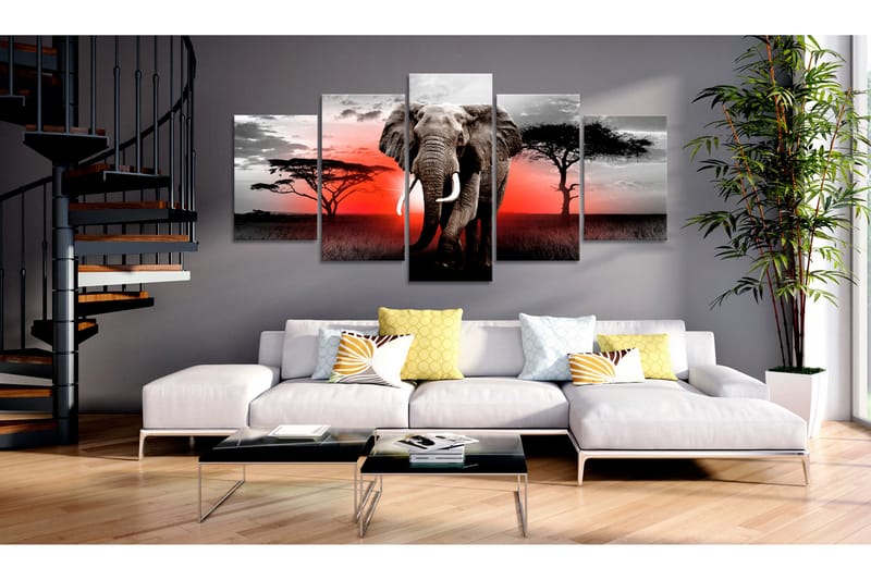 Bilde Lonely Elephant 100x50 - Artgeist sp. z o. o. - Innredning - Bilder & kunst - Lerretsbilder