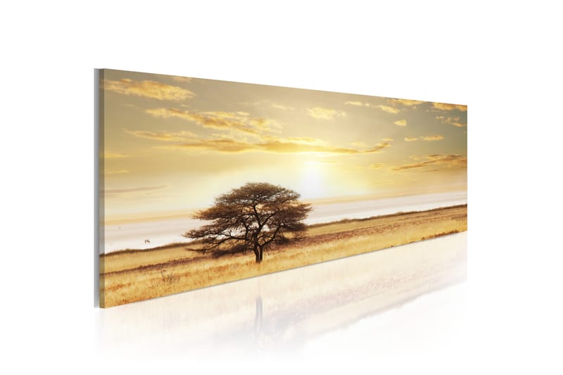 Bilde Lonely Tree On Savannah 120x40 - Artgeist sp. z o. o. - Innredning - Bilder & kunst - Lerretsbilder