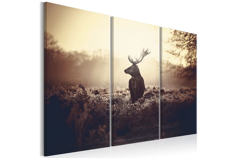 Bilde Lurking Deer 120x80 - Artgeist sp. z o. o. - Innredning - Bilder & kunst - Lerretsbilder