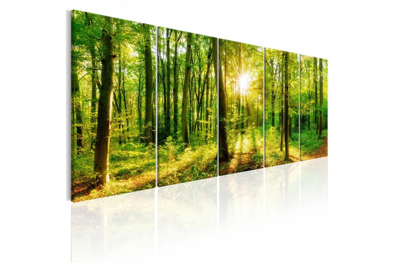 Bilde Magic Forest 225x90 - Artgeist sp. z o. o. - Innredning - Bilder & kunst - Lerretsbilder