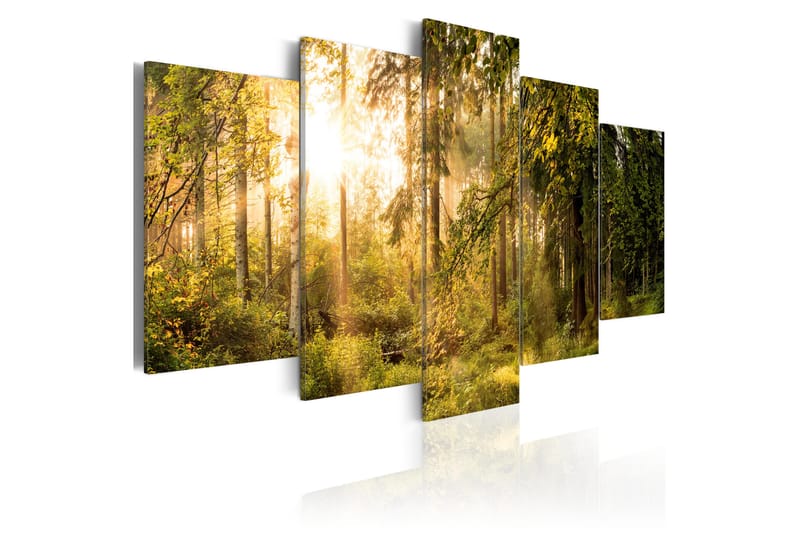 Bilde Magic Of Forest 100x50 - Artgeist sp. z o. o. - Innredning - Bilder & kunst - Lerretsbilder