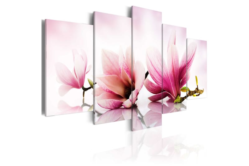 Bilde Magnolias Pink Flowers 100x50 - Artgeist sp. z o. o. - Innredning - Bilder & kunst - Lerretsbilder