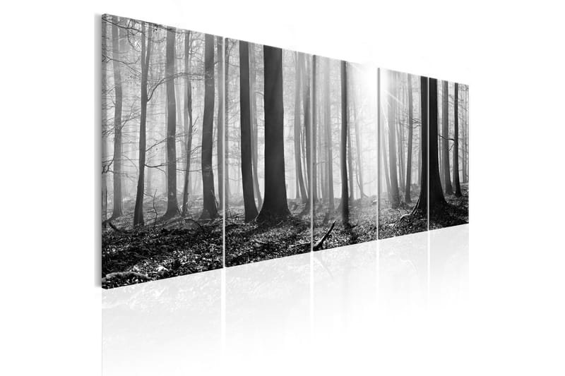 Bilde Monochrome Forest 200x80 - Artgeist sp. z o. o. - Innredning - Bilder & kunst - Lerretsbilder