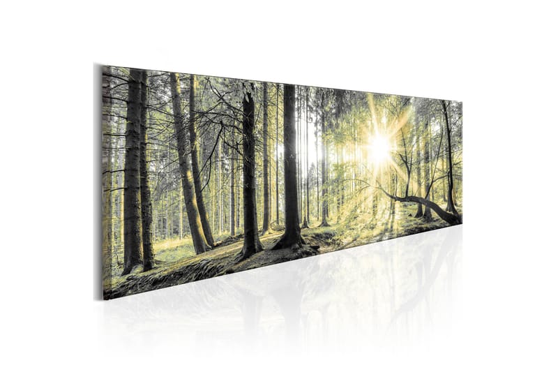 Bilde Morning Forest 150x50 - Artgeist sp. z o. o. - Innredning - Bilder & kunst - Lerretsbilder