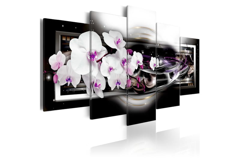 Bilde Orchids On A Black Background 100x50 - Artgeist sp. z o. o. - Innredning - Bilder & kunst - Lerretsbilder