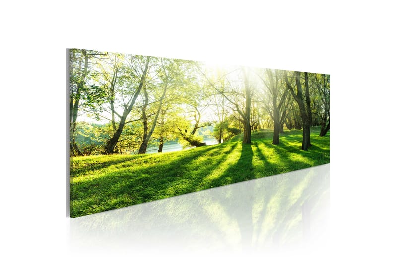 Bilde Rays Of Sunshine 135x45 - Artgeist sp. z o. o. - Innredning - Bilder & kunst - Lerretsbilder