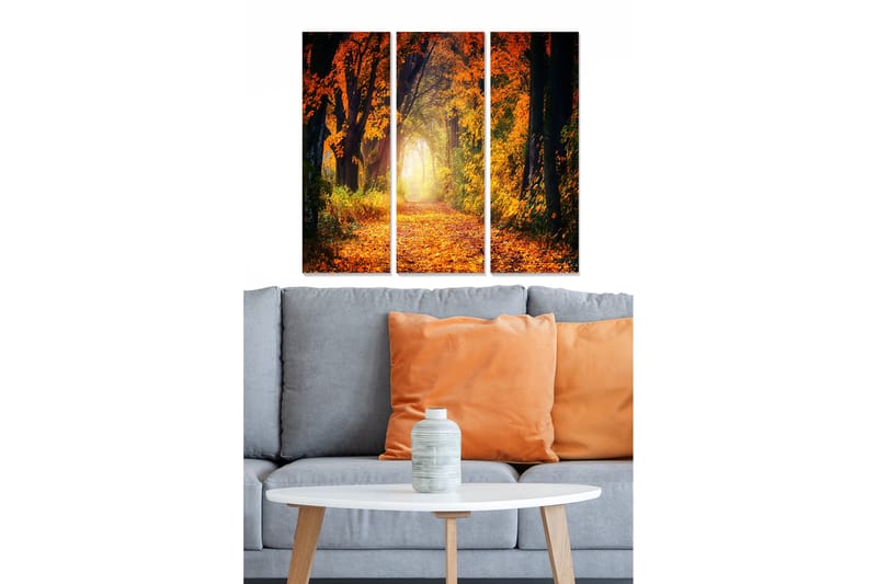 Bilde Scenic 3-pk Flerfarget - 22x05 cm - Innredning - Bilder & kunst - Lerretsbilder