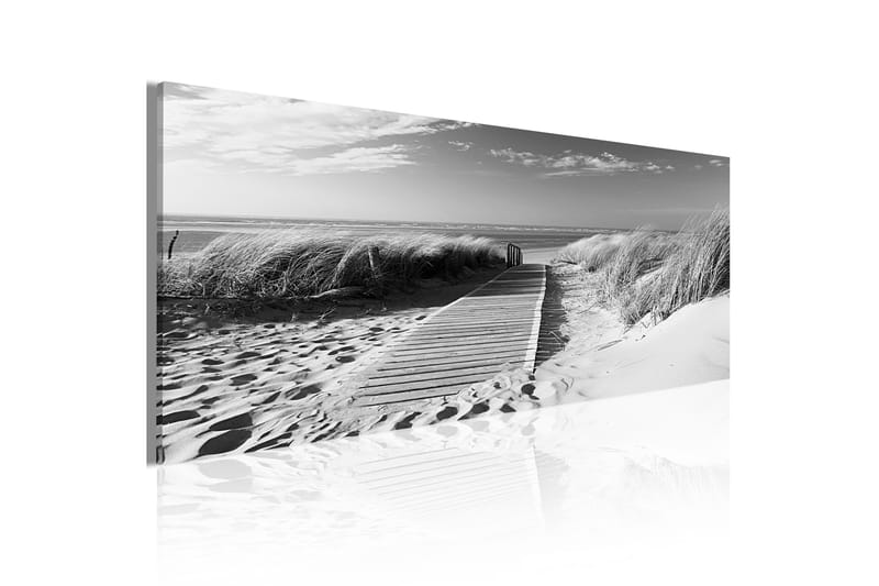 Bilde Sea-Breeze 135x45 - Artgeist sp. z o. o. - Innredning - Bilder & kunst - Lerretsbilder