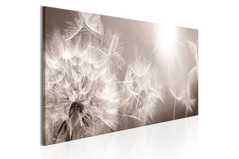 Bilde Summer Dandelions 120x40 - Artgeist sp. z o. o. - Innredning - Bilder & kunst - Lerretsbilder