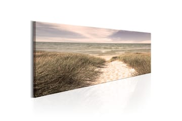 Bilde Summer Dream 150x50