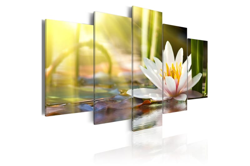 Bilde Sunny Lotus 200x100 - Artgeist sp. z o. o. - Innredning - Bilder & kunst - Lerretsbilder