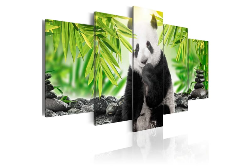 Bilde Sweet Little Panda 200x100 - Artgeist sp. z o. o. - Innredning - Bilder & kunst - Lerretsbilder