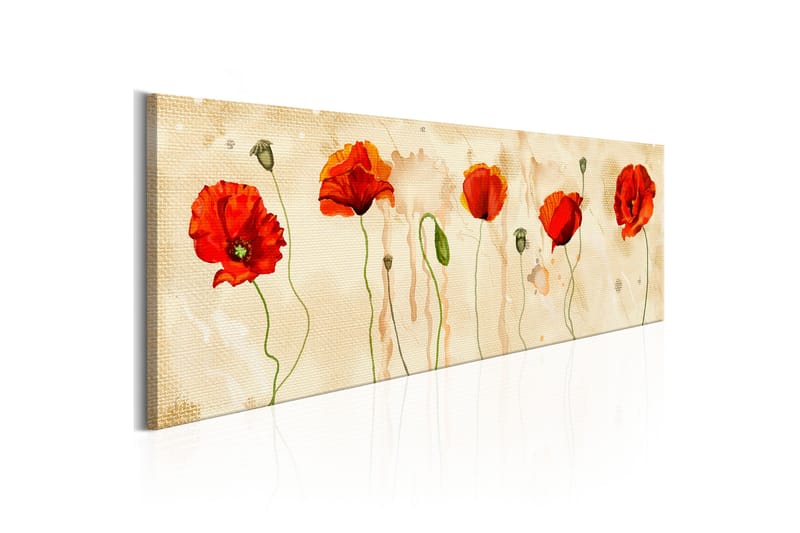 Bilde Tears Of Poppies 150x50 - Artgeist sp. z o. o. - Innredning - Bilder & kunst - Lerretsbilder