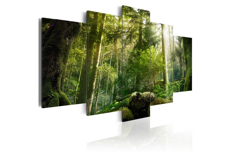 Bilde The Beauty Of The Forest 100x50 - Artgeist sp. z o. o. - Innredning - Bilder & kunst - Lerretsbilder