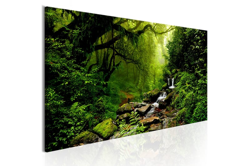 Bilde The Fairytale Forest 150x50 - Artgeist sp. z o. o. - Innredning - Bilder & kunst - Lerretsbilder