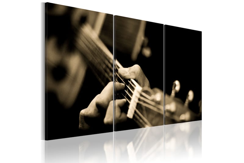 Bilde The Magic Sound Of A Guitar 120x80 - Artgeist sp. z o. o. - Innredning - Bilder & kunst - Lerretsbilder