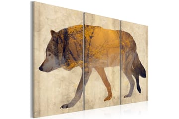 Bilde The Wandering Wolf 120x80