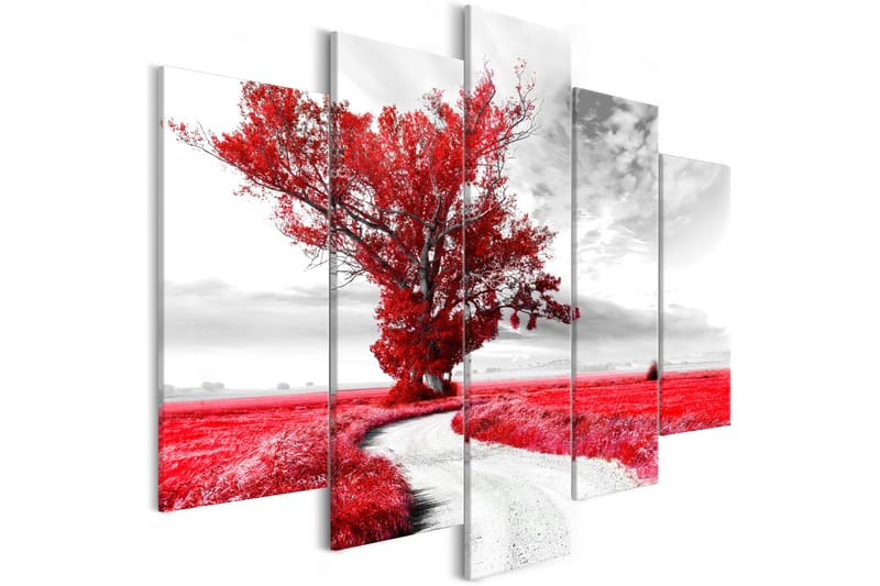 Bilde Tree Near The Road 5 Parts Red 100x50 - Artgeist sp. z o. o. - Innredning - Bilder & kunst - Lerretsbilder