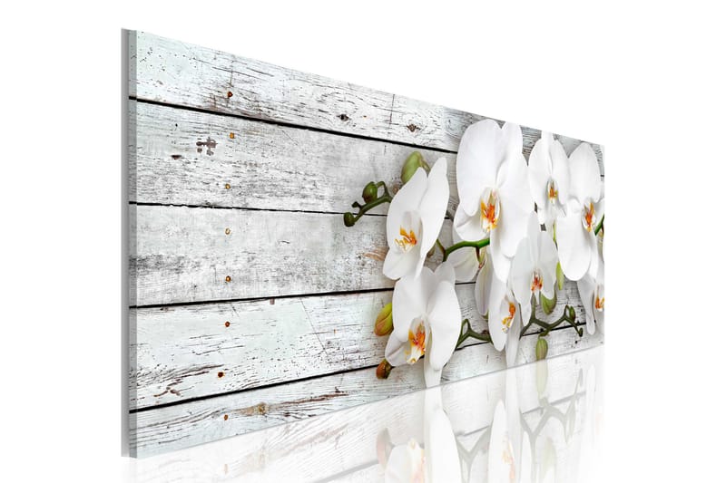 Bilde White Dreams 150x50 - Artgeist sp. z o. o. - Innredning - Bilder & kunst - Lerretsbilder