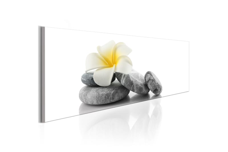 Bilde White Lotus 120x40 - Artgeist sp. z o. o. - Innredning - Bilder & kunst - Lerretsbilder