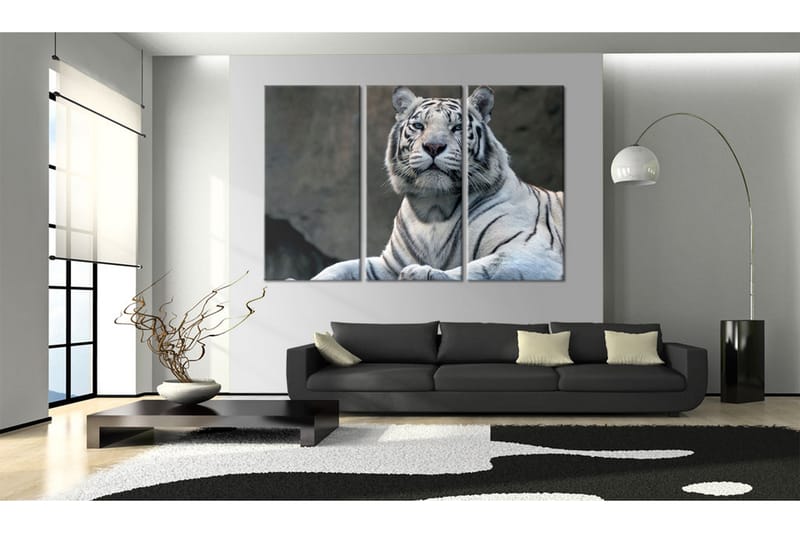 Bilde White Tiger 60x40 - Artgeist sp. z o. o. - Innredning - Bilder & kunst - Lerretsbilder