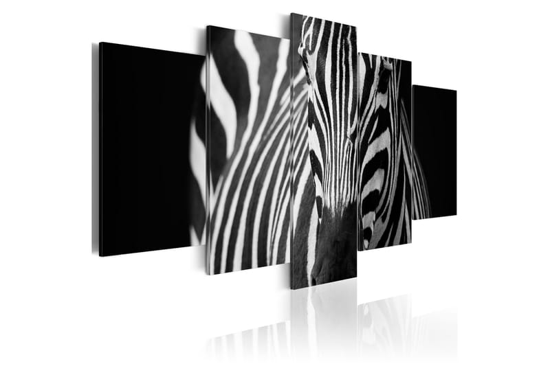 Bilde Zebra Look 100x50 - Artgeist sp. z o. o. - Innredning - Bilder & kunst - Lerretsbilder