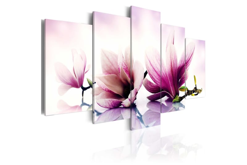 Bilde Pink Flowers Magnolias 100x50 - Artgeist sp. z o. o. - Innredning - Bilder & kunst - Lerretsbilder