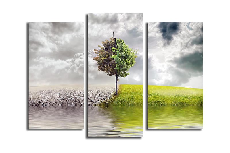 Canvasbilde 3-pk flerfarget - 22x03 cm - Innredning - Bilder & kunst - Lerretsbilder