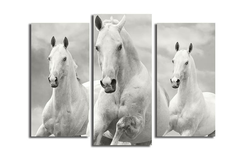 Canvasbilde 3-pk flerfarget - 22x03 cm - Innredning - Bilder & kunst - Lerretsbilder