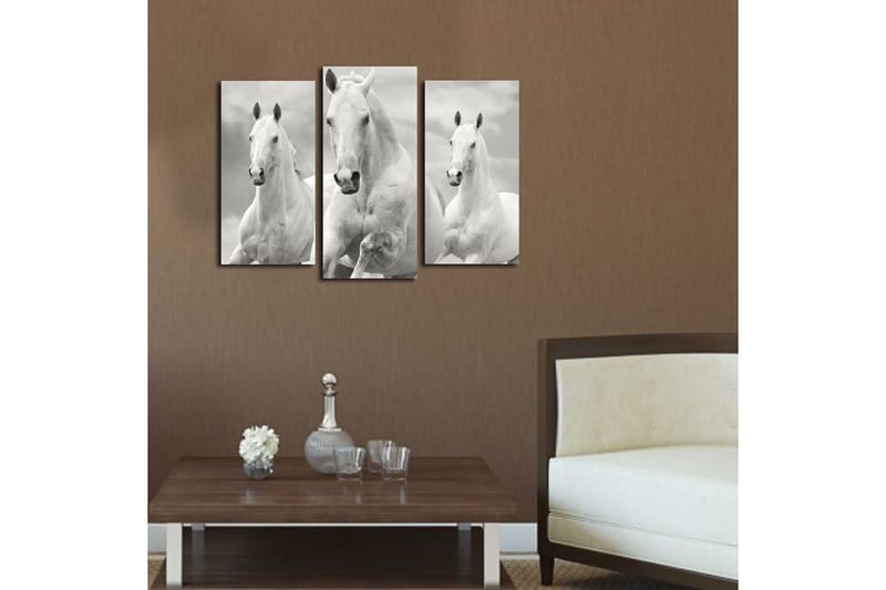 Canvasbilde 3-pk flerfarget - 22x03 cm - Innredning - Bilder & kunst - Lerretsbilder