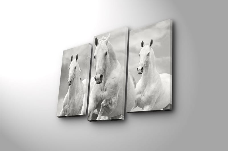 Canvasbilde 3-pk flerfarget - 22x03 cm - Innredning - Bilder & kunst - Lerretsbilder