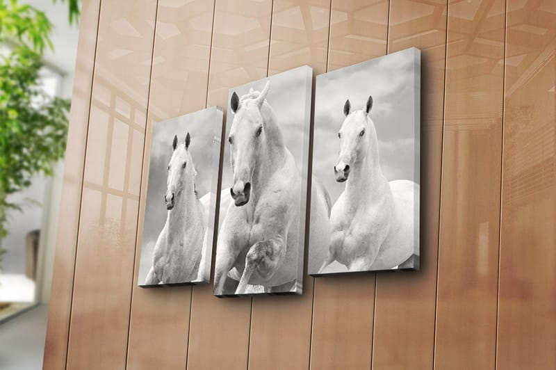 Canvasbilde 3-pk flerfarget - 22x03 cm - Innredning - Bilder & kunst - Lerretsbilder