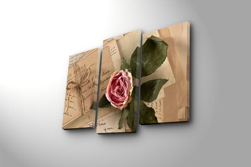 Canvasbilde 3-pk flerfarget - 22x03 cm - Innredning - Bilder & kunst - Lerretsbilder