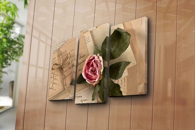 Canvasbilde 3-pk flerfarget - 22x03 cm - Innredning - Bilder & kunst - Lerretsbilder