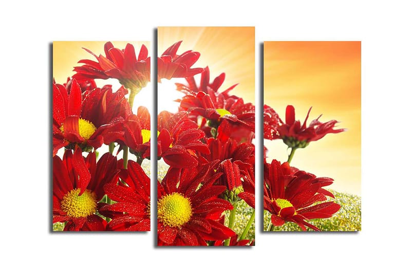 Canvasbilde 3-pk flerfarget - 22x03 cm - Innredning - Bilder & kunst - Lerretsbilder