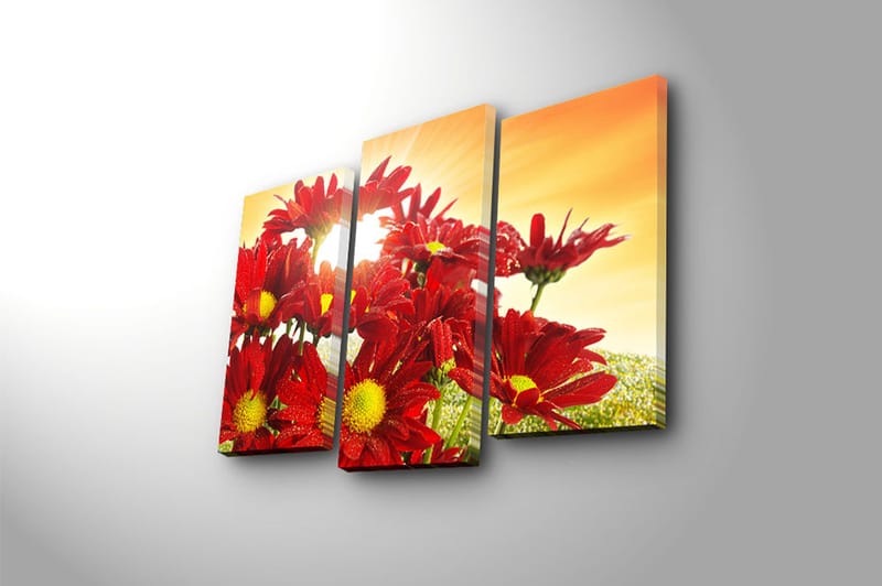 Canvasbilde 3-pk flerfarget - 22x03 cm - Innredning - Bilder & kunst - Lerretsbilder