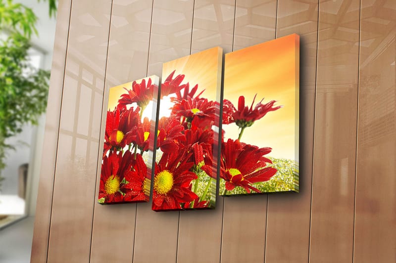 Canvasbilde 3-pk flerfarget - 22x03 cm - Innredning - Bilder & kunst - Lerretsbilder