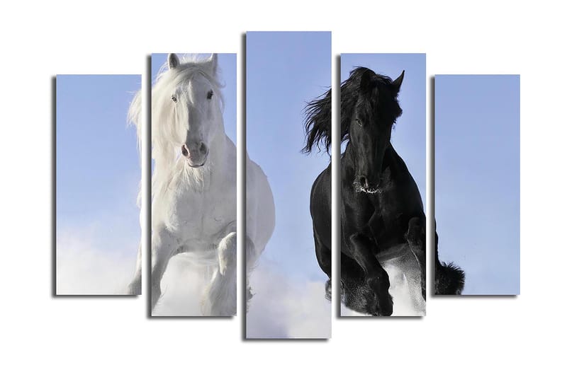 Canvasbilde 5-pk flerfarget - 11x96 cm - Innredning - Bilder & kunst - Lerretsbilder